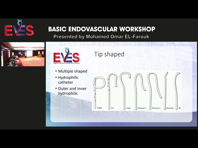 Vascular online training my catheter lecture in EVES basic endovascular course class=