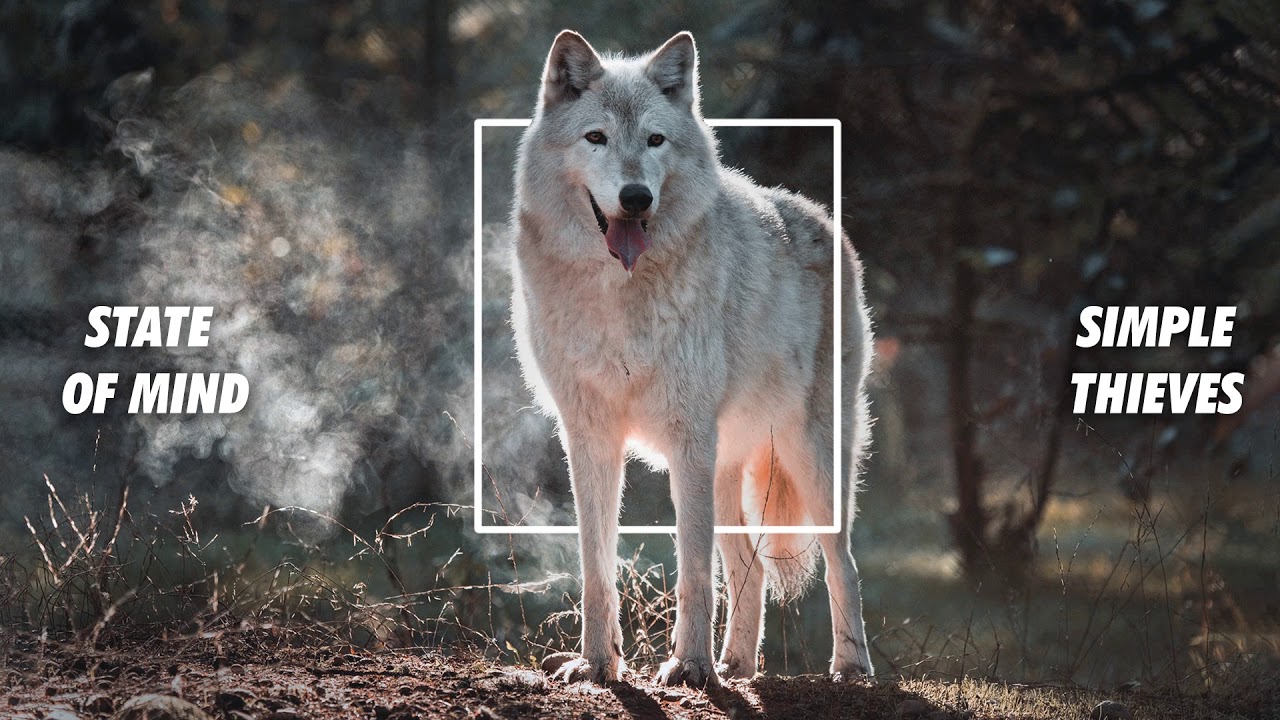 State of Mind by Simple Thieves | KM