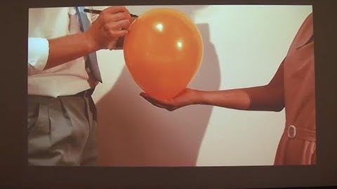 "Visio": alla Strozzina in mostra una nuova generazione di videoartisti