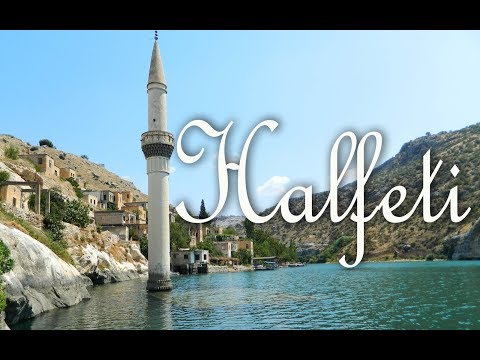 Halfeti Karagül 2017- Halfeti The Only Growing up Black Rose in the world