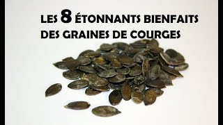Quelle quantité de graine de courge Peut-on manger par jour ?