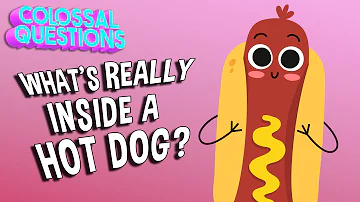 What’s REALLY Inside a Hot Dog? | COLOSSAL QUESTIONS