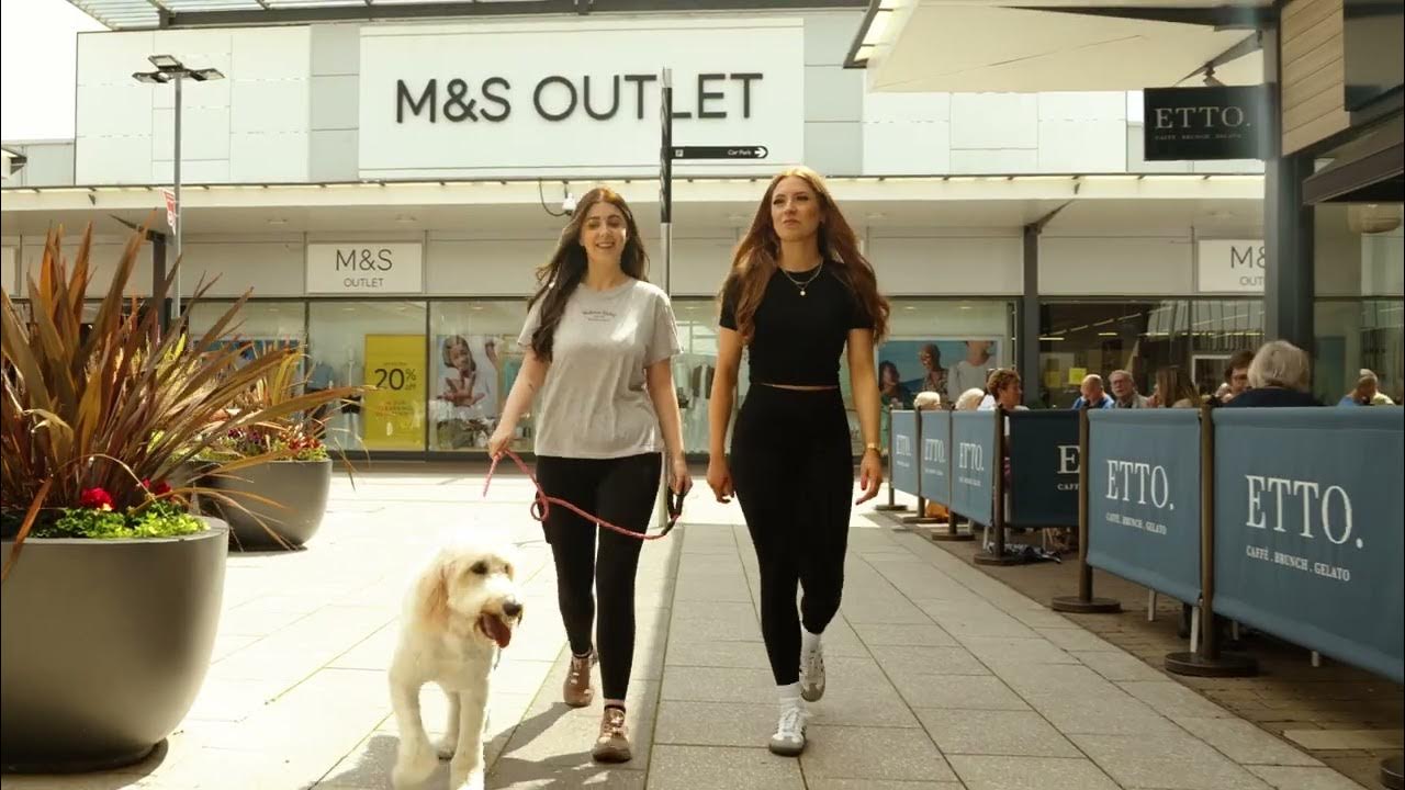 Dog Friendly Dalton Park Outlet & Outdoors YouTube