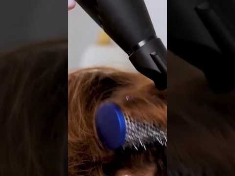 شاهدي كيف تؤدي المبالغة في تسريح شعرك إلى تدميره حرفيا التشافي