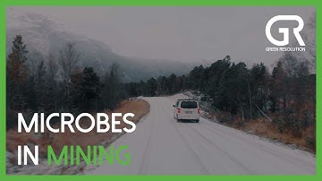 Microbes in Mining
