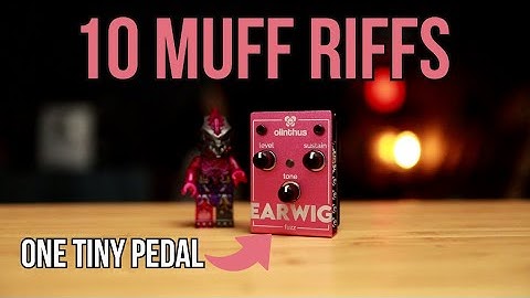 10 Muff Riffs - One Tiny Pedal!! | Olinthus Earwig Fuzz Pedal Demo