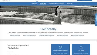 Navigating the Website screenshot 3