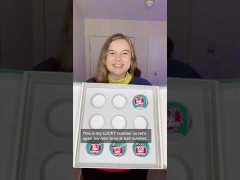 Opening Toy Mini