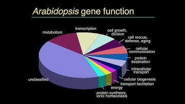 Dr. Joseph Ecker: "Why in the World Would We Work on a Weed?"