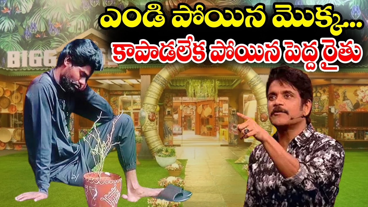 ఎండి పోయిన మొక్క...కాపాడలేక పోయిన పెద్ద రైతు | Pallavi Prashanth | BIG