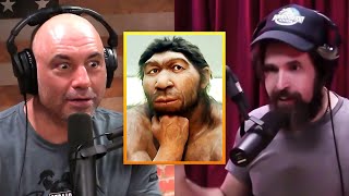 Joe Rogan | The Evolution Of Human Beings