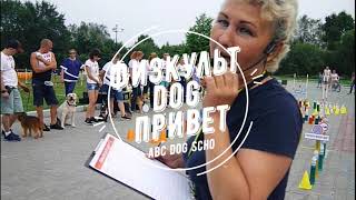 Физкульт-Dog-Привет-2019