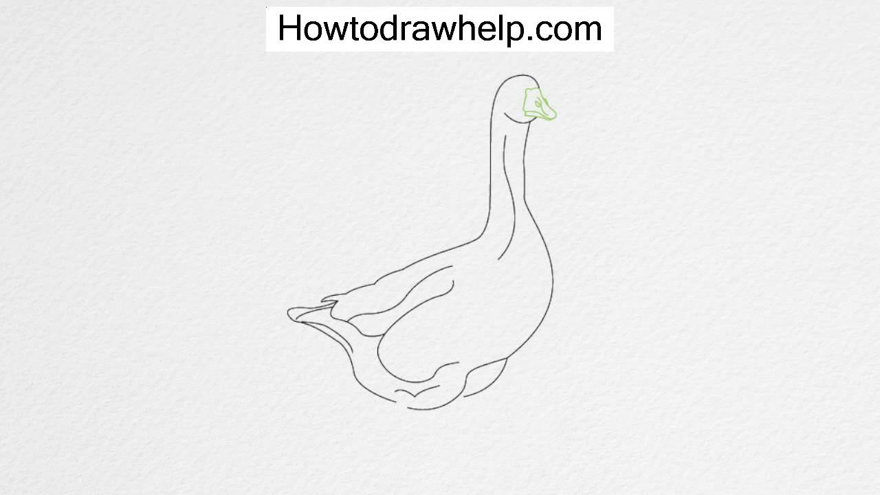 How to draw a GOOSE step by step for kids - YouTube