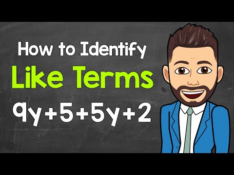 Identifying Like Terms