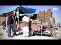 The Price Of Firewood And Coal In Bani Hesar Markets بهای چوب و زغال سنگ در چوب فروشی های بنی حصار The Price Of Firewood And Coal In Bani Hesar Markets بهای چوب و زغال سنگ در چوب فروشی های بنی حصار