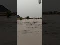 A Lady Rescued By The Red Cross At Yola Adamawa State After A Float Took Over Homes In Yola Town A Lady Rescued By The Red Cross At Yola Adamawa State After A Float Took Over Homes In Yola Town