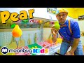 Blippi visits a childrens museum seattles chlidrens museum moonbug kids tv shows full episodes