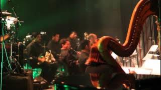 05 Fallen Angel  King Crimson