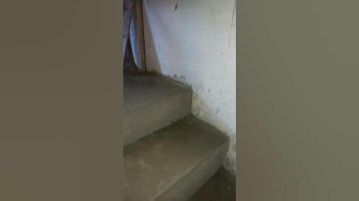 @Mickeychungo se cae de las escaleras #Shorts #Humor