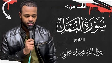 ايات من سورة النمل || تلاوه جميله || للقارئ عبدالله محمد علي