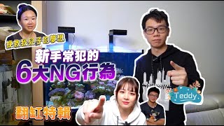 【天啊什麼情況可以把缸子搞得一蹋糊塗新手常犯的6大NG行為】薇薇珊瑚翻缸系列 #海水缸 #海水魚 #水族館 #水族 #珊瑚 #coral #fish #fishtank #sps #lps