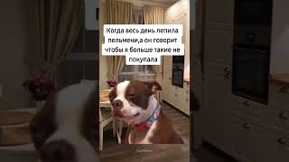 Обидно конечно😢 #животные