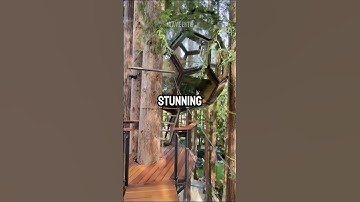 This Guy Built the ULTIMATE Treehouse (charlies_webs)