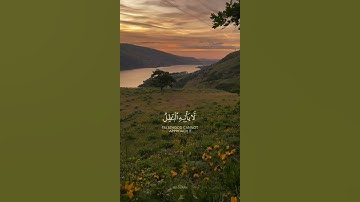 إن الذين كفروا بالذكر لما جاءهم | سورة فصلت – القارئ أحمد النفيس