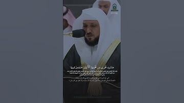 وأدخل الذين آمنوا وعملوا الصالحات جنات تجري من تحتها الأنهار #سورة #إبراهيم #ماهر_المعيقلي