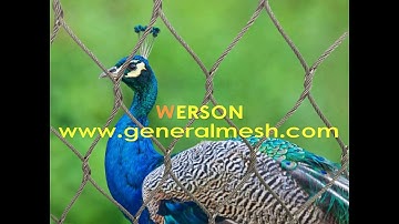 Generalmesh bird aviary mesh,aviary cage netting,big bird aviary netting,bird netting