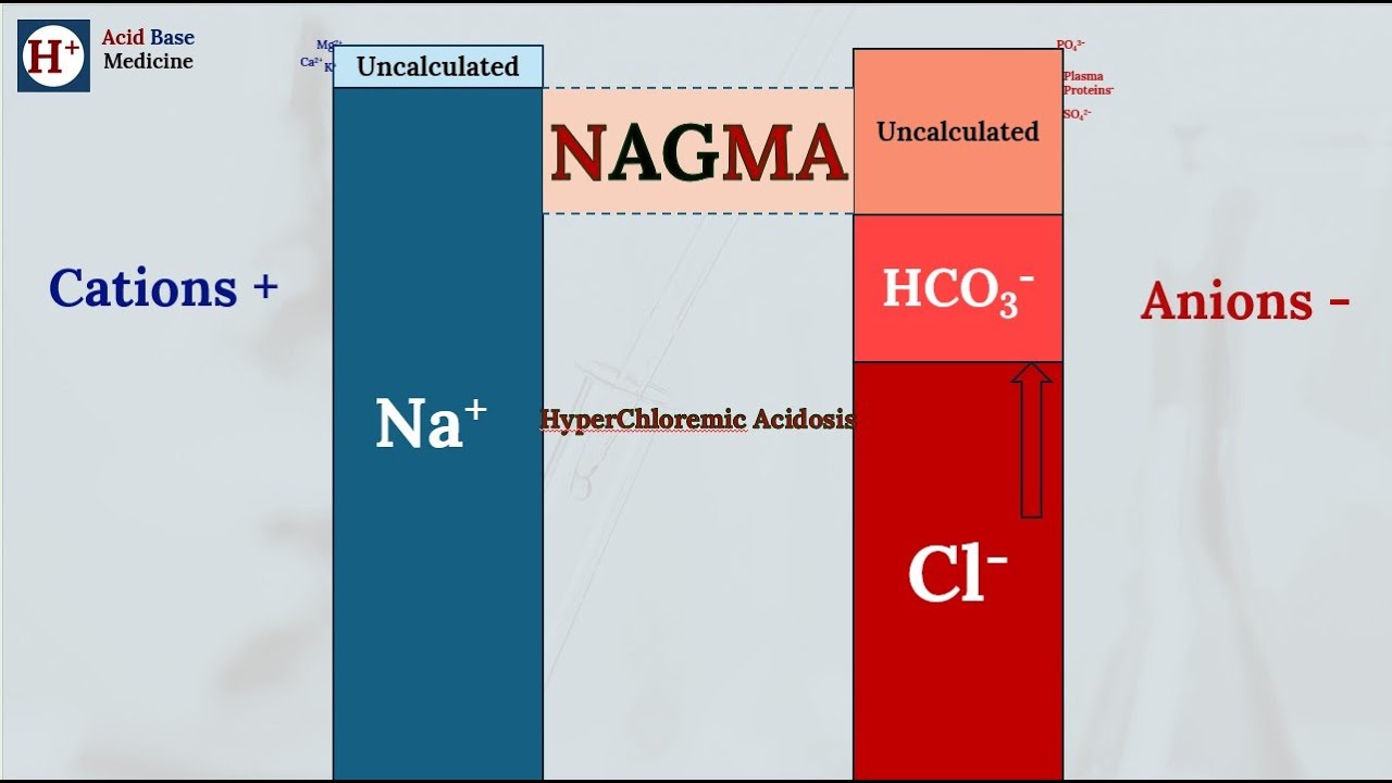 Acid Base Medicine: NAGMA Visual Guide (3) - YouTube