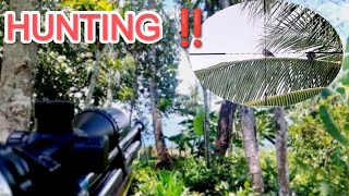 Hunting‼️ngrambo target randem 