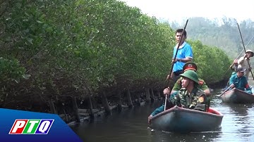 Quảng Ngãi: Chung tay giữ rừng ngập mặn Bàu Cá Cái