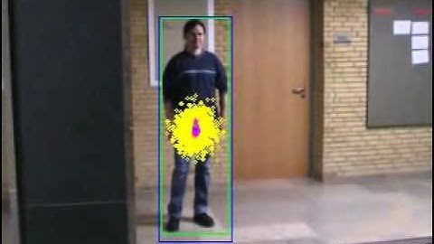 Video Tracking with an Adaptive Particle Filter (Person 3)