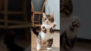 Download Lagu Cute cat Aa pacha pacha Dance 😂🙊😍 #pop #cover #cat #kitten #dance #cute #ep23 #APT MP3 Download Lagu Cute cat Aa pacha pacha Dance 😂🙊😍 #pop #cover #cat #kitten #dance #cute #ep23 #APT MP3