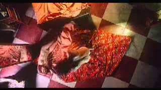 Emperor's Wife Trailer Emperor's Wife Trailer