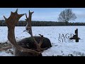 Winterjagd - Aus dem Füllhorn der Oberförsterei Podanin