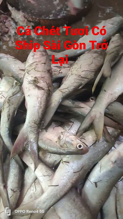 Phương Pháp Canh Tác Lúa Gạo Ở Miền Núi Trung Quốc