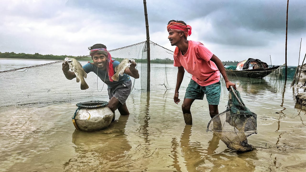 ঝড় বৃষ্টির দিন পাটা জল দিয়ে গাছাল ঘিরে অনেক ভেটকি মাছ পেলাম Sundarban fishing!!!