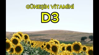 Vitamin D Rehberiniz Kaynaklar Açıklamada Resimi
