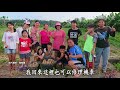 【農夫與他的田】20180608 - 鹿野茶香情