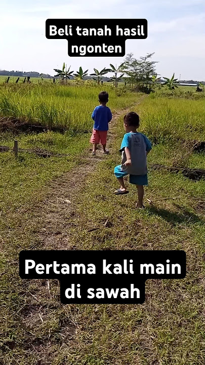 pertama kali main di sawah gays,ikut mamy papa cek lahan tanah hasil ngonten gays#maindisawah
