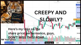 Trade Over Invest Tiger - Slow Share Price Move Pre-Analysis and Our Take