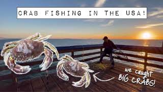 Crab Fishing in the USA… we got LOTS of Crabs  #sandiego #imperialbeach #crabfishing