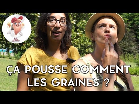 Vidéo: Pourquoi Les Graines Rêvent-elles