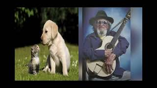 A Intriga Do Cachorro Com O Gato José Pacheco Canta Lucas Evangelista