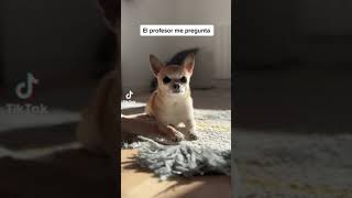 18 De Febrero De 2023