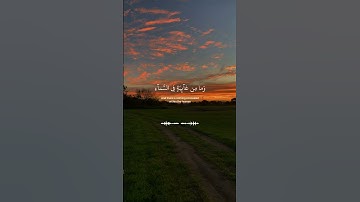 سورة النمل | اسلام صبحي | ❤ | #قرآن #قران_كريم #islam #quran