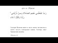 &quot;Господи! Включи меня и часть моего потомства в число тех, кто совершает намаз...&quot;дуа из Корана14:40