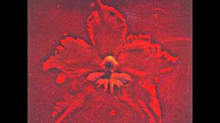 Machine Head - The Blood, The Sweat, The Tears